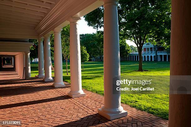 rasen an der university of virginia - uva stock-fotos und bilder