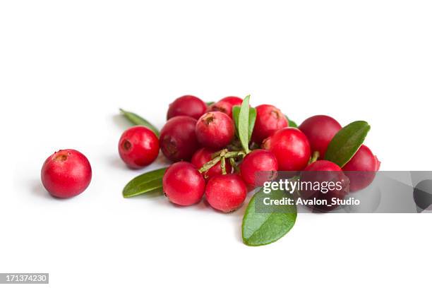 preiselbeeren auf weiß - cramberry stock-fotos und bilder