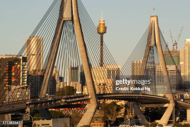 anzac bridge - glebe island bridge stock pictures, royalty-free photos & images