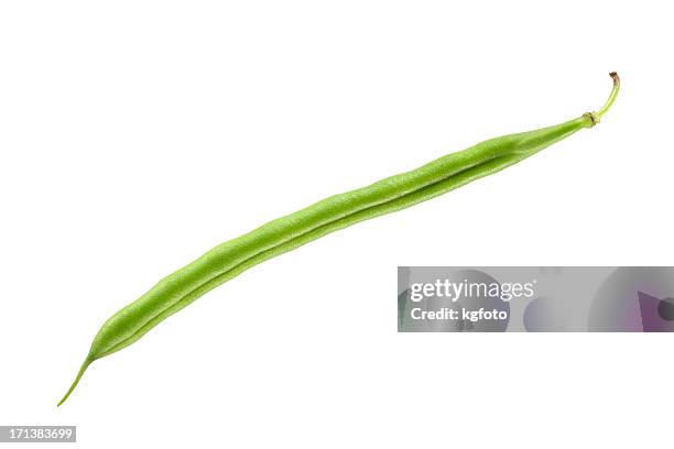 green bean - bonen stockfoto's en -beelden