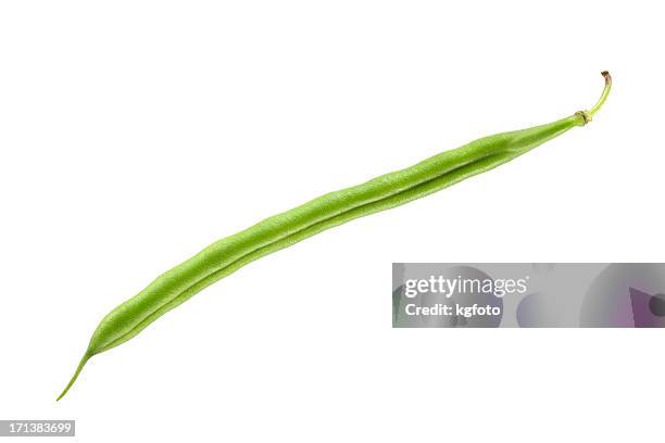 green bean - string beans on white bildbanksfoton och bilder
