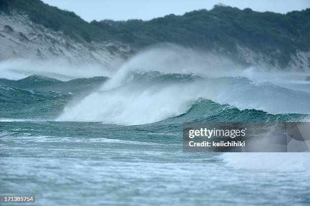 tasmanian west coast - tasmanian wilderness stock pictures, royalty-free photos & images