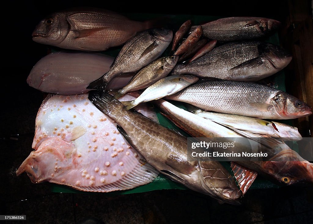 Fish display