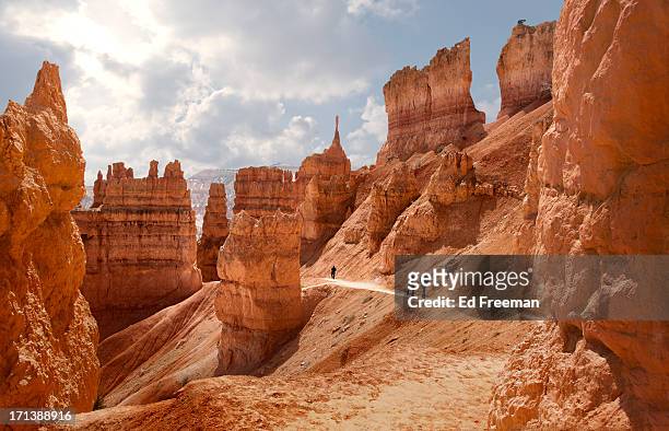 bryce canyon, navajo loop trail - parque nacional fotografías e imágenes de stock
