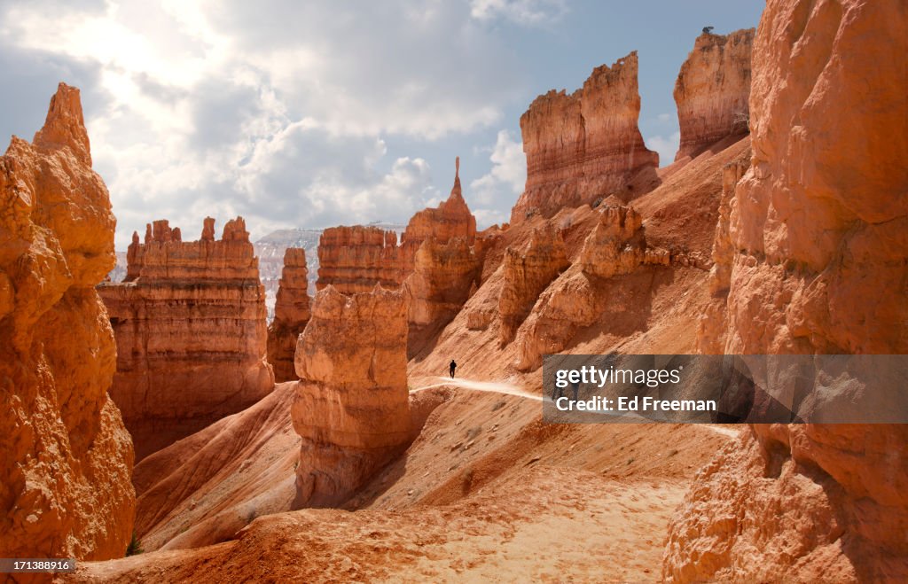 Bryce Canyon, Navajo Loop Trail