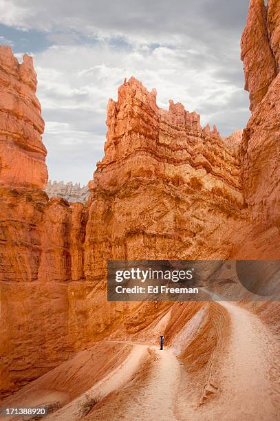 Navajo Rocks Loop Navajo Trail Loop Photos and Premium High Res Pictures - Getty Images