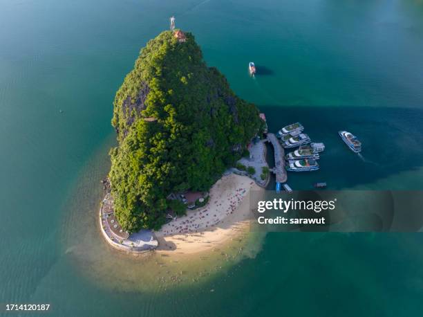 halong bay, vietnam - halong bay stock pictures, royalty-free photos & images