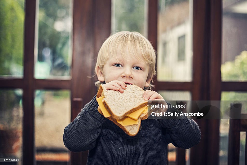 Child eating a cheese sandwich