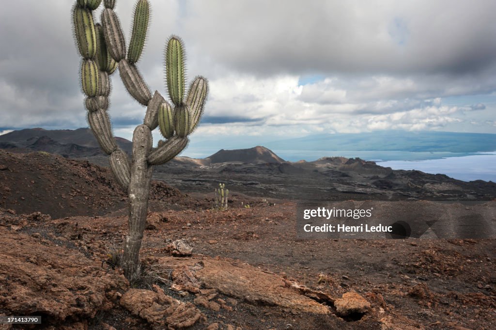 Volcan Chico