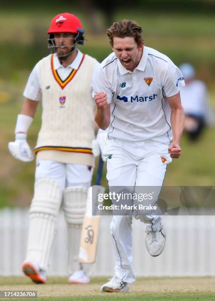 Lawrence Neil-Smith of the Tasmanian Tigers celebrates the wicket of Harry Nielsen of the Redbacks during the Sheffield Shield match between South...