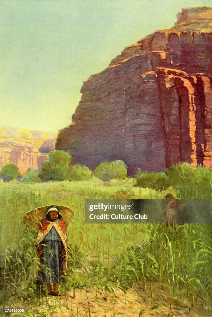 A Supai Cornfield - Cataract Canyon