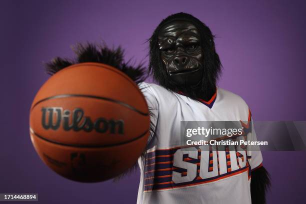 311 Phoenix Suns Gorilla Mascot Stock Photos, High-Res Pictures