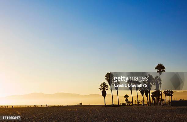 venice beach bei sonnenuntergang - california stock-fotos und bilder
