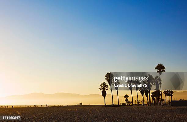 landscape image of venice beach, california at sunset  - california 個照片及圖片檔