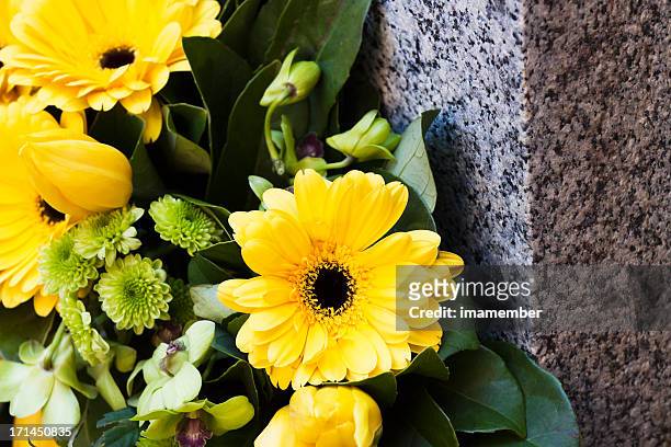 nahaufnahme der gelben daisys auf aus granit, textfreiraum - cemetery stock-fotos und bilder