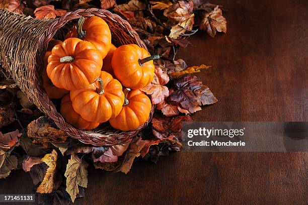 autumn decoration - hoorn des overvloeds stockfoto's en -beelden