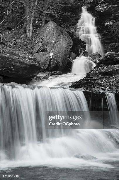 black and white (monochrome) image of a waterfall - ricketts glen state park stock pictures, royalty-free photos & images