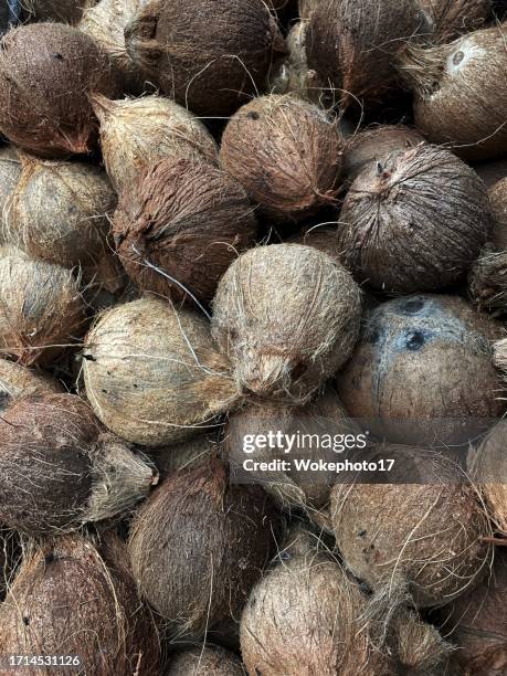 coconut - coconut water isolated stock pictures, royalty-free photos & images