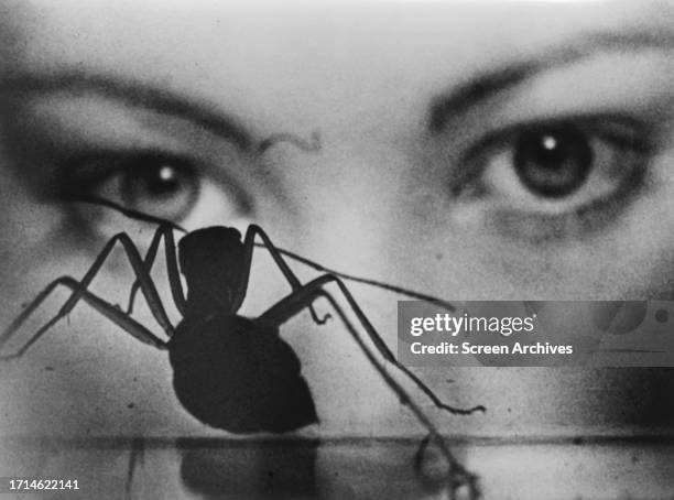 Lynne Frederick looks at giant ant from the 1973 apocalyptic sci-fi movie 'Phase IV' .