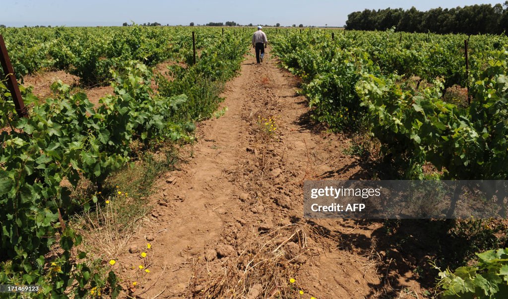 MOROCCO-LIFESTYLE-WINE-RELIGION