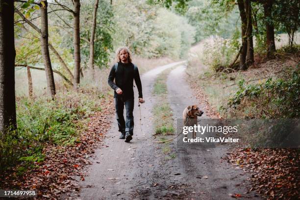 man walking with his dog in the autumn forest - october stock pictures, royalty-free photos & images
