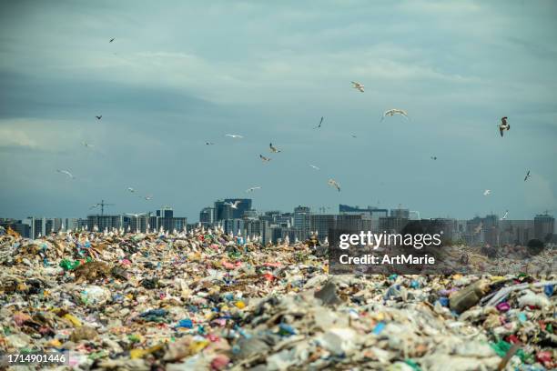 seagulls at a garbage dump with a city in background. environmental damage, air and water pollution and ecology crisis concept. - vuilnisbelt stockfoto's en -beelden