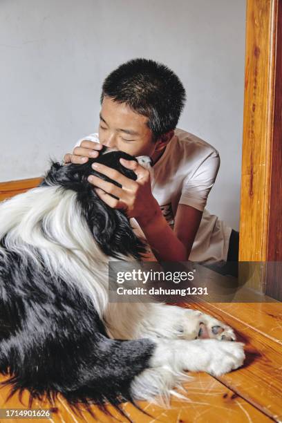 teenager cradles a border collie - hairy asian stock pictures, royalty-free photos & images