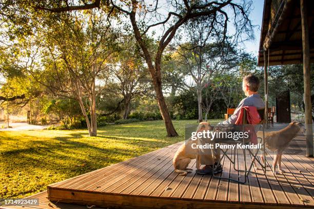 relaxing on the terrace of a safari lodge in botswana at sunset/sunrise - safari lodge stock pictures, royalty-free photos & images
