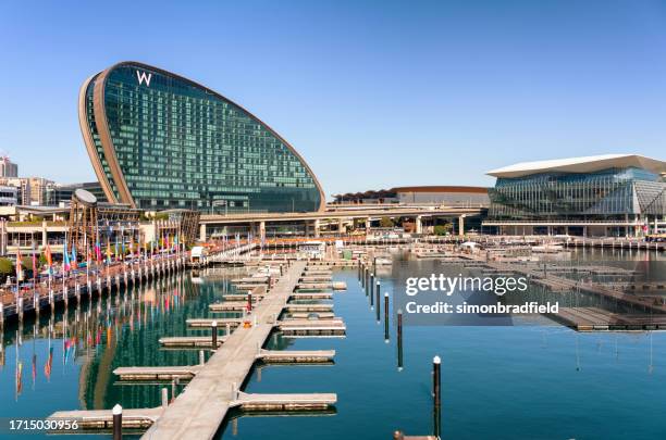 sydney harbour marina in darling harbour, australien - darling harbour stock-fotos und bilder