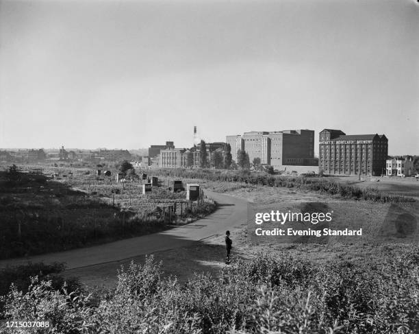 Police officer guarding land near Dukes Meadow in Chiswick where the body of murder victim Elizabeth Figg was found, London, June 17th 1959.