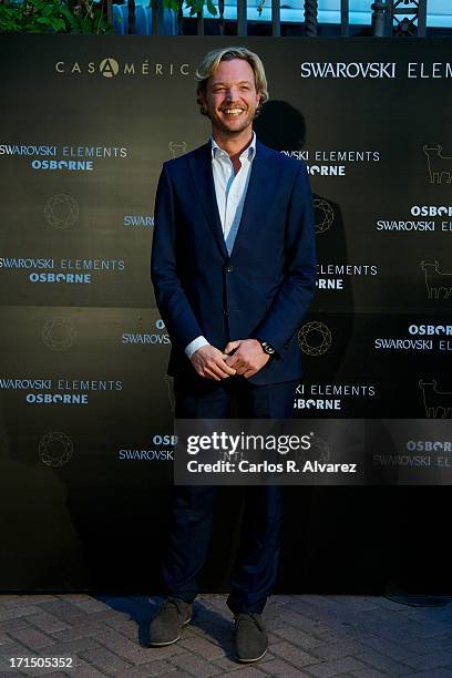 Markus Langes-Swarovski attends Swarovski-Osborne Bull illumination at the Casa America on June 25, 2013 in Madrid, Spain.