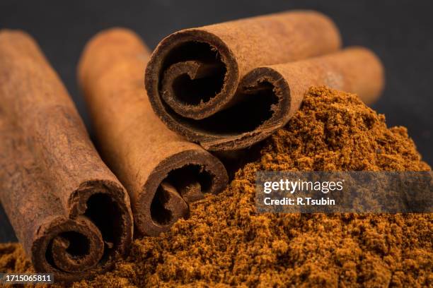 cinnamon sticks with powder - canela imagens e fotografias de stock