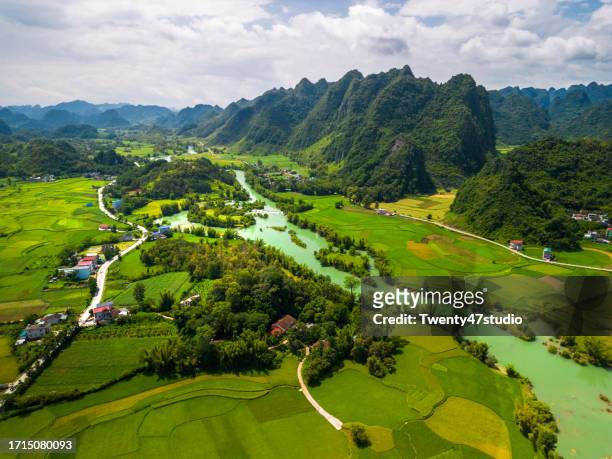 aerial view of paddy rice field among quay son river in cao bang, vietnam - cao bang stock pictures, royalty-free photos & images