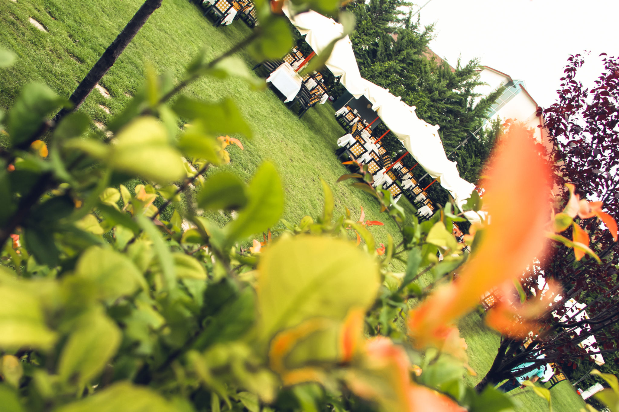 evento giardino