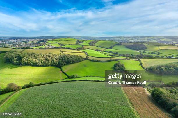 rolling hills of rural south devon - rolling landscape stock pictures, royalty-free photos & images