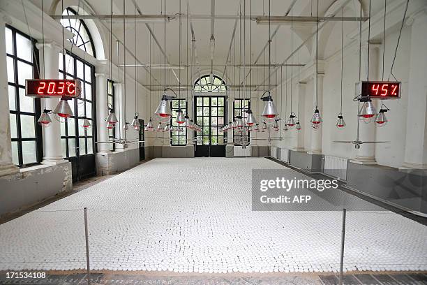 Picture taken on June 26, 2013 shows 'De Wachtkamer', an art work by Koen Van Mechelen with 40000 eggs, during it's inauguration on the launch of the...