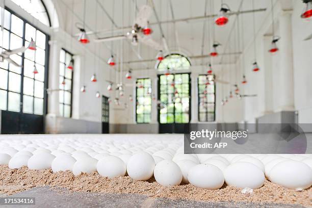 Picture taken on June 26, 2013 shows 'De Wachtkamer', an art work by Koen Van Mechelen with 40000 eggs, during it's inauguration on the launch of the...