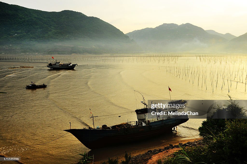 Resting fishing boats