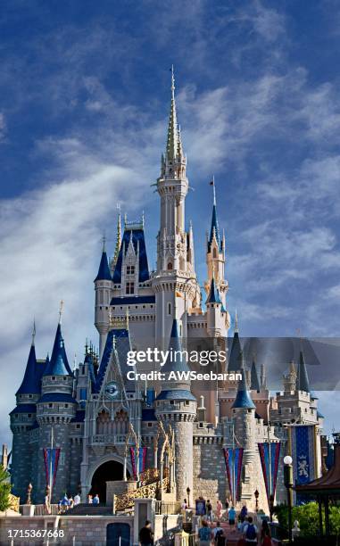 cinderella's castle disney world - kasteel stockfoto's en -beelden