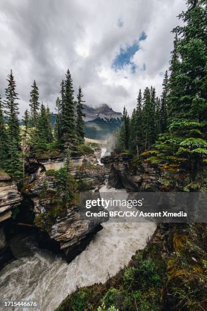 aerial view of waterfall cascading down steep slope - tapered roots stock pictures, royalty-free photos & images