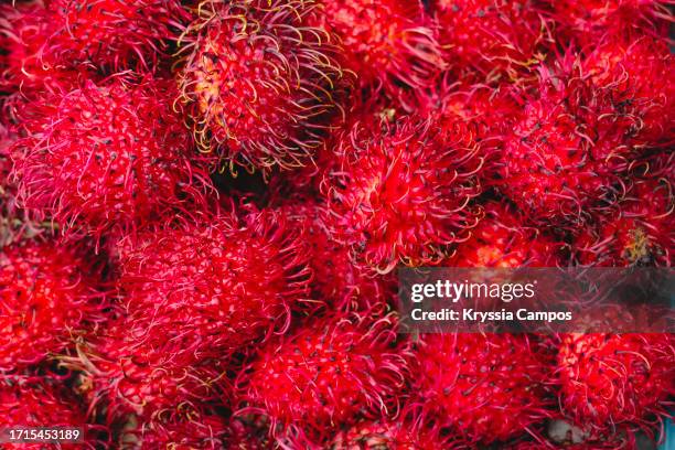 tropical delights: rambutan fruits in abundance - lychee fruit - rambutan lychee stock pictures, royalty-free photos & images