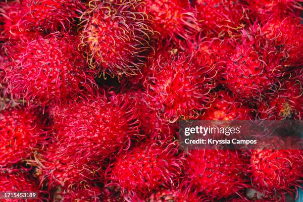 tropical delights: rambutan fruits in abundance - lychee fruit - rambutan stock pictures, royalty-free photos & images