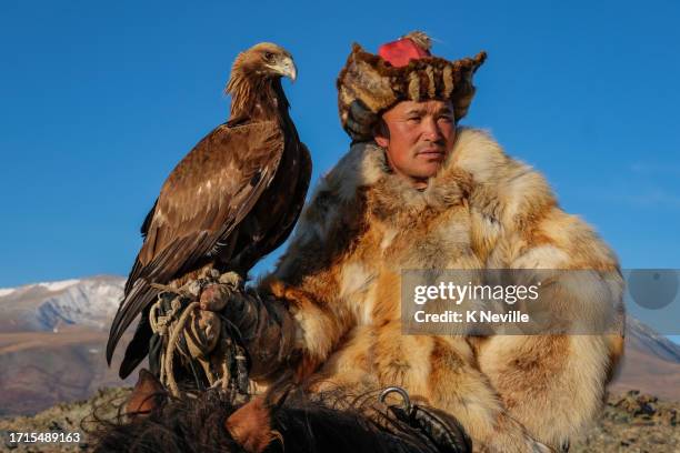 nomadic eagle hunter, in the kazak region of the altai mountains - mongolian culture stock pictures, royalty-free photos & images