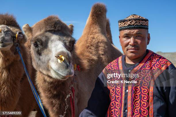 ein nomadischer kasachischer hirte mit seinen kamelen - mongolischer-abstammung stock-fotos und bilder
