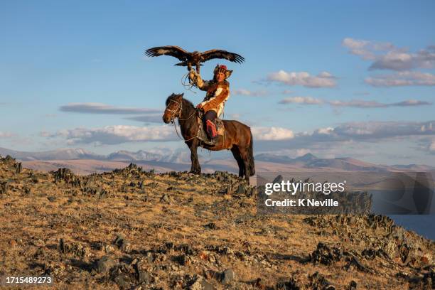 abendsonne auf einem kasachischen adlerjäger im altai-gebirge der mongolei - steinadler stock-fotos und bilder