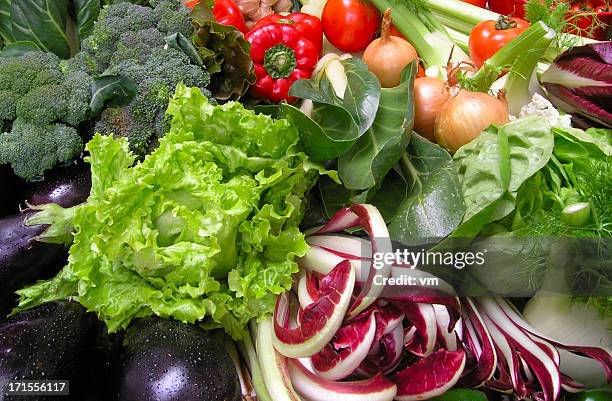 assortment of fresh vegetable - endive stock pictures, royalty-free photos & images