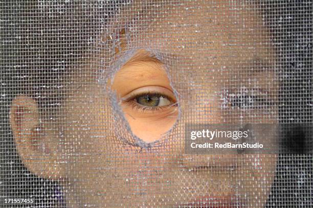 jouer à cache-cache - moustiquaire photos et images de collection