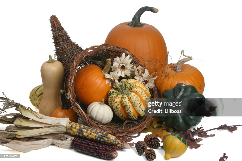 Autumn Harvest Series (isolated on white background)