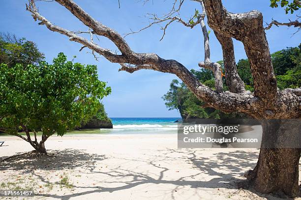 the picturesque setting of frenchman's cove - port antonio jamaica stock pictures, royalty-free photos & images