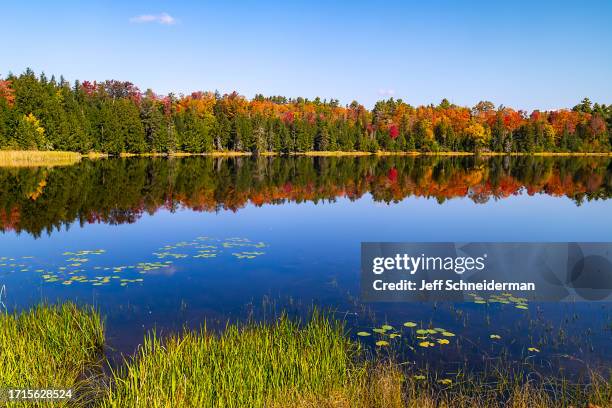 fall foliage reflecting in calm pond - vermont stock pictures, royalty-free photos & images